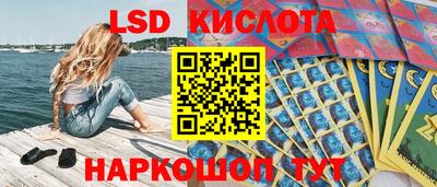 молекула духа Кулебаки