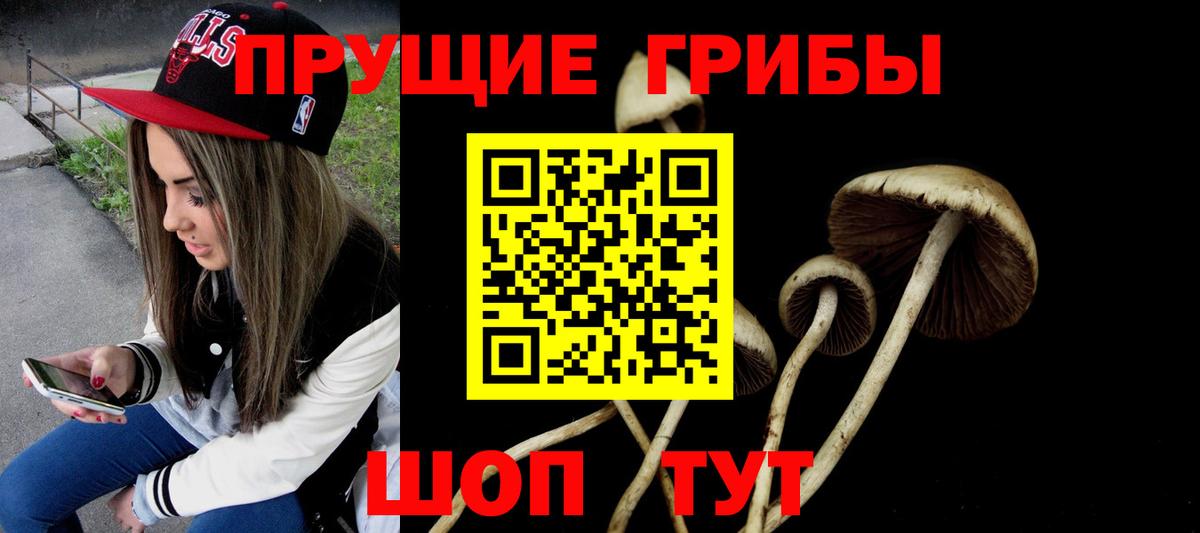 Джанкой  Галлюциногенные грибы Psilocybine cubensis  Псилоцибиновые грибы Psilocybe  Вход с VPN 